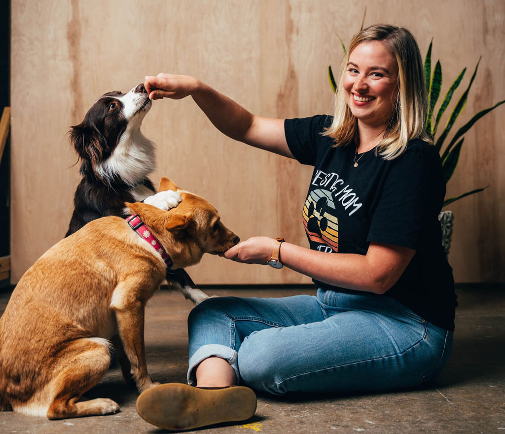 The Best Dog Training Tips for Beginners 2024